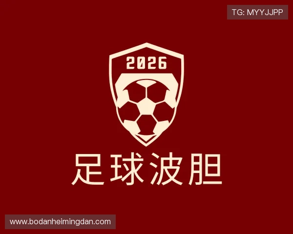 介绍波胆分析